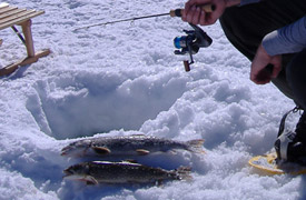 Озеро Мельчзее-Фрутт в Швейцарии стало меккой для ценителей подледной рыбалки