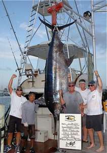 Спортивная Рыбалка: На Багамах зарегистрирован рекордный улов - марлин весом 508 кг
