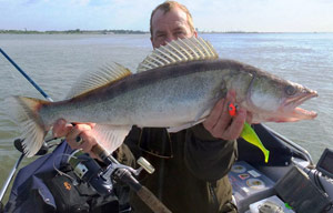 IGFA: ТОП-11 рекордных рыб августа